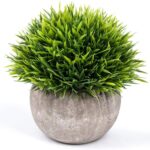 BBRATS Artificial Tables Decoration Plants | Home | Office | Indoor Showpices
